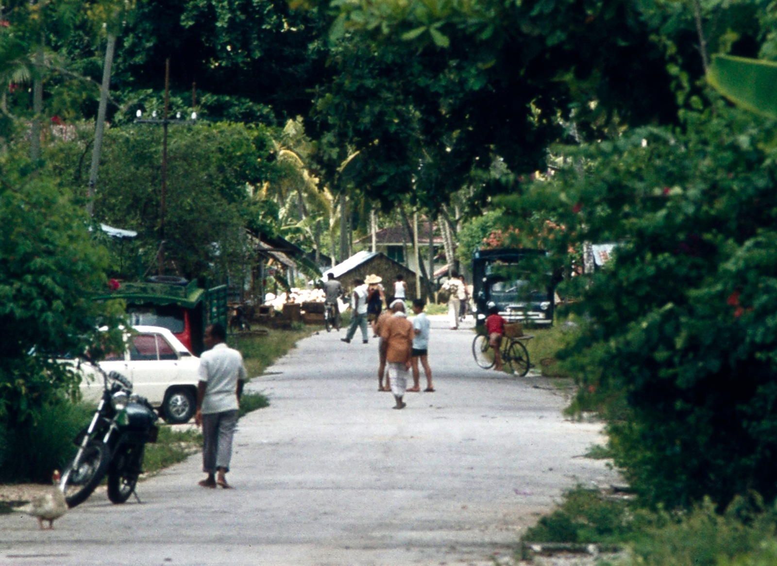 Landsby på Penang øen